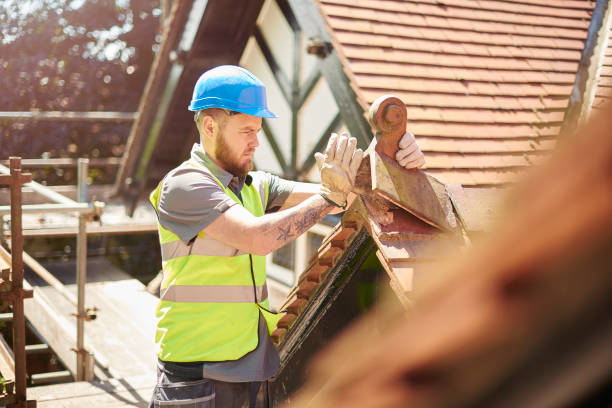 Best Residential Roof Replacement  in Lake Dunlap, TX